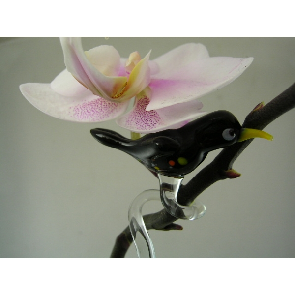 Orchideenstab Amsel - Orchid Stick