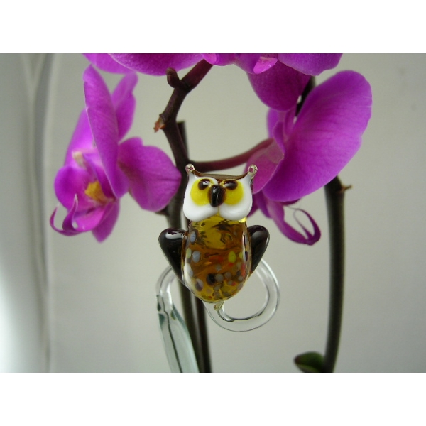 Orchideenstab Eule 1 - Orchid Stick Owl