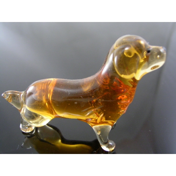 Hund-Dog-Golden Retriever-27-15 - Glastier