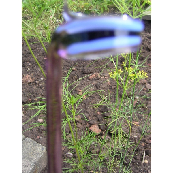 Orchideenstab Streifen Violett Blau Schwarz v 41 - Glas Blumenstab Rankhilfe 40 cm Blütenstütze